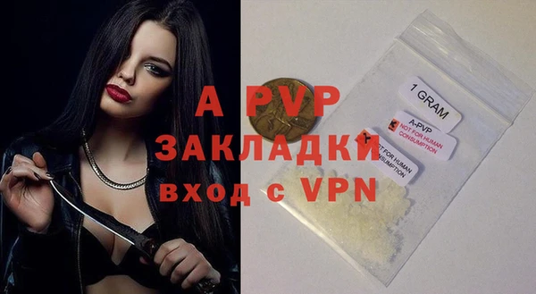 амф Белокуриха