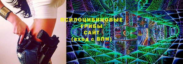 амф Белокуриха